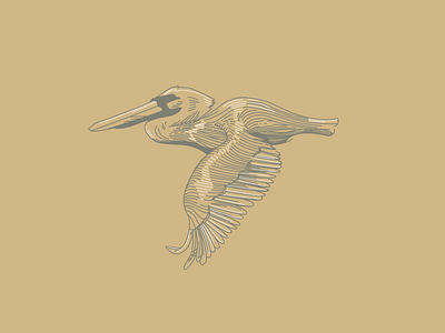 Bird #3 - Pelican bird brand design drawing illustration illustrator vector