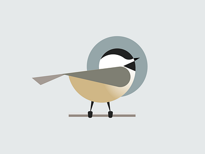 Bird #4 Chickadee bird brand chickadee design illustration maine simple vector