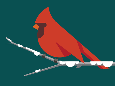Bird #6 Cardinal bird bird illustration cardinal design icon illustraion illustrator simple vector