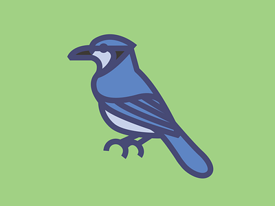 Bird #8 Fat Line Blue Jay aven bird bird illustration blue jay branding icon illustration vector