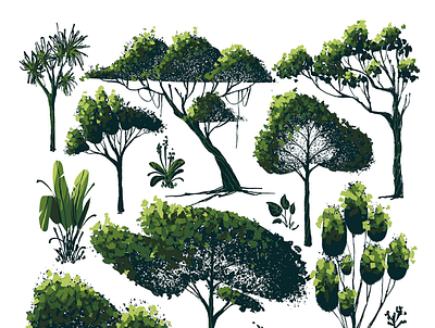 Rain Forest Trees background design illustration visual development