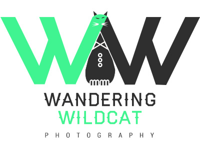 Wandering Wildcat Photography logo photography