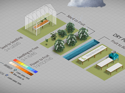 An isometric animated infographic. ali cetin animation coffee farming infographic isometric shroomco