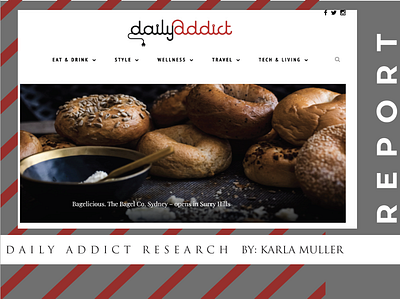 Daily Addict Research Report cx ux web