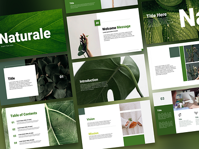 Pitch Deck for Naturale branding design graphic design presentation