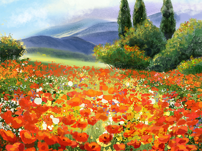 Poppy field