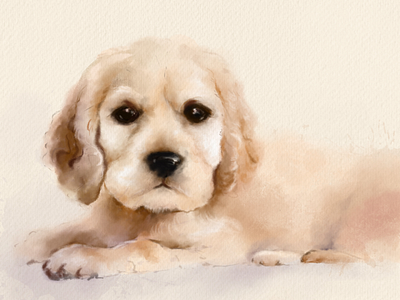 Puppy art dog drawing puppy spaniel watercolor