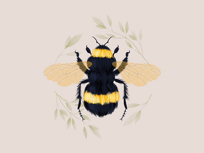 bumblebee art digital art digital painting illustration procreate