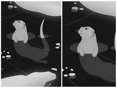 otter animal illustration animals art black and white digital art ice illustration monochrom otter procreate procreate app procreate art winter