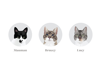 cat family art digital art digital illustration illustration pet portrait procreate