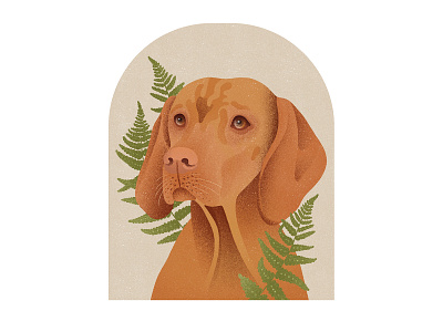 pet portrait