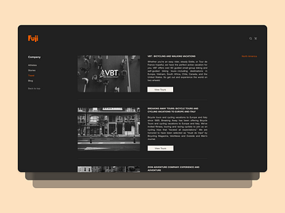 Fuji Website design ui ux web