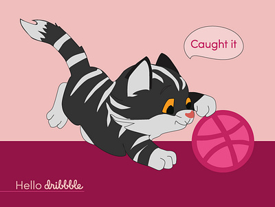 Hello Dribble!! cat creative design hello dribble illustration vector