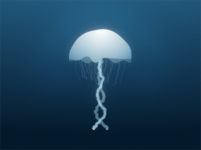After Effects jellyFish vector animation animation duik bassel expressions jellyfish loop organic procedural shape layers vector
