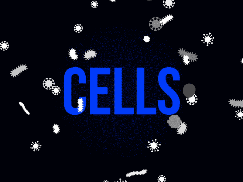 Moglyph_Particles new font - CELLS example 2d after effects animation script