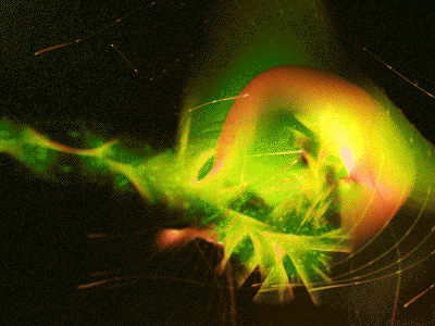 Radioactive Jellyfish 3d c4d fluo jellyfish mograph organic radioactive splines tentacle underwater unreal