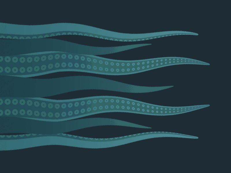 2D squid tentacles experiment in AE