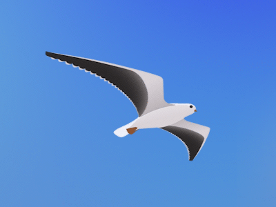 Seagull Flight Loop 3d air flight fly seagull sky