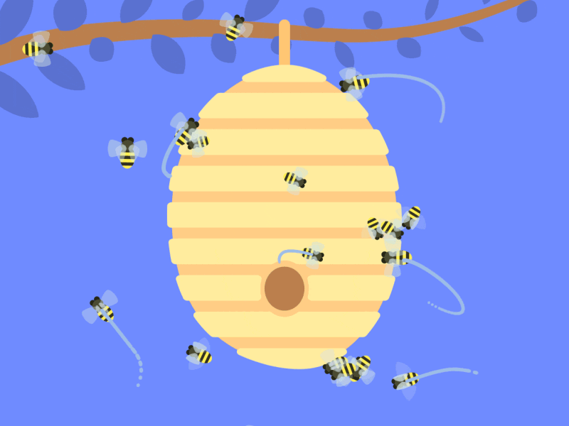 Beehive animation test 2d after effects animation beehive bees flat flight natural