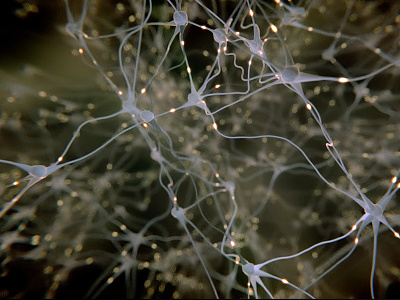 3D Neuron Network 3d brain cells electric flux network neurons realistic