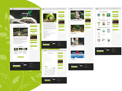 crepaq branding design icon illustration logo responsive design ui ux website