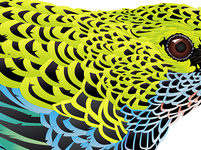 Tanager (bird) detail