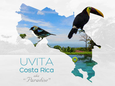 Costa Rica... aka Paradise w/Birds blue costa rica green rebound vector