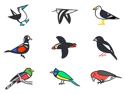 Bird Illustrations bird bird illustration birds illustration logo vector wildlife