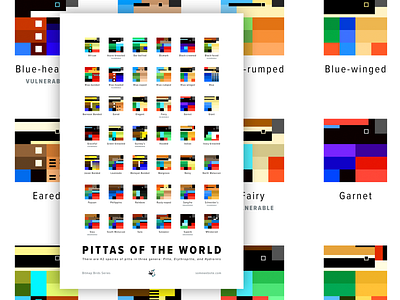 Pittas of the World Poster bird bird illustration bird logo birds bitmap colorful pitta poster square