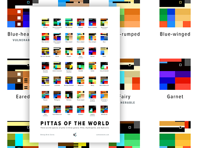 Pittas of the World Poster