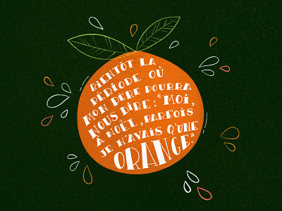 Orange design illustration illustrations orange oranges procreate procreate art