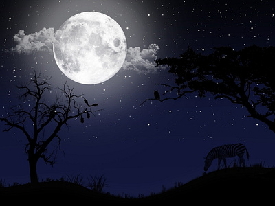 A shinny night in Madagascar creative graphic design illustraion illustrator minimal minimalistic moon night night moon photoshop