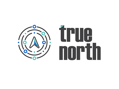 TrueNorth adobe adobe illustrator brand identity branding design illustration illustrator logo medical north software true truenorth ui