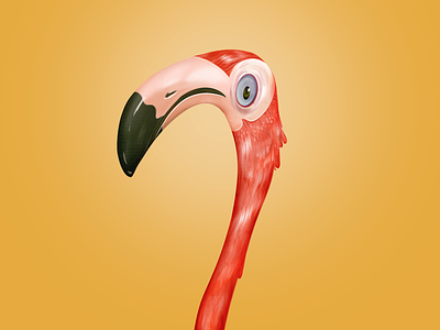 Pablo the Flamingo animal animal portrait animals bird cartoon character digital face flamingo illustration