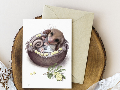 Pygmy-possum Greeting Card graphic design illustration