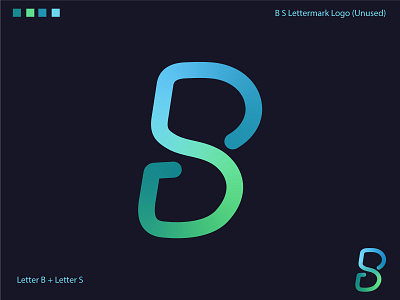 Letter B S Monogram Logo Mark