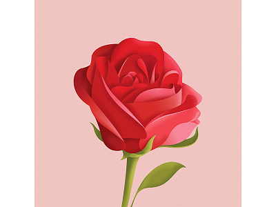 09 Mrs. art cover flower illustration leon bridges music pink portrait profile red rose sony