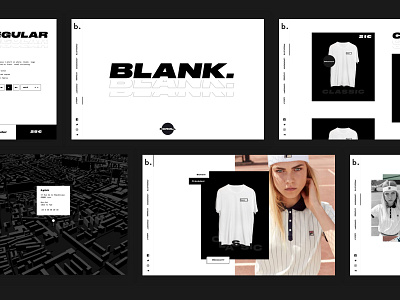 Blank. Overview