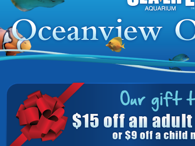 Oceanview O blue coupon email newsletter