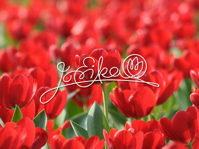 Jó Erika logo brand calligraphy design handmade logo spring tulip