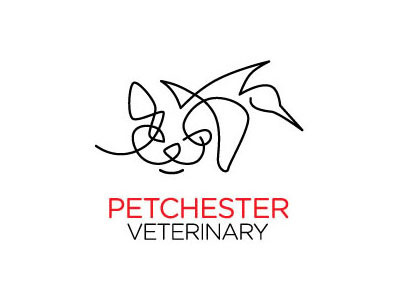 Petchester Veterinary Peter Vasvari animal bird cat dog hidden hospital infinite line negative positive space veterinarian