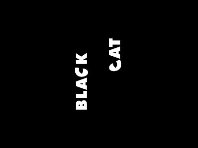 Black Cat Peter Vasvari and animal black c cat company concealed design eye eyes group logo negative parallel pavement positive production reflector silhouette space tv vision