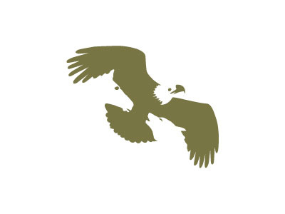 Eagle Mountain Capital Peter Vasvari and animal bird black capital concealed eagle fly flying horse logo mountain negative organic positive silhouette space wolf zoo