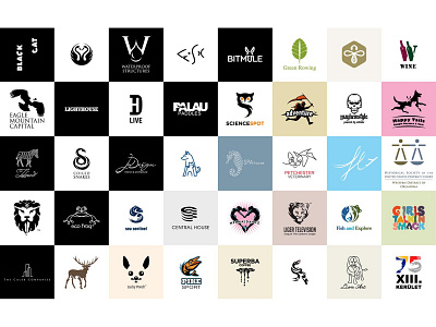 Peter Vasvari Logos brand branding hidden identity line logo negativespace typography