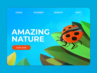 Nature - Ladybird enviroment explore illustraion ladybird leaf nature simple ui webdesign