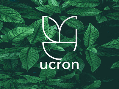 u letter logo design -modern u logo design concept from u+leaf