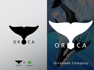 Orcanode Logo Design branding creative graphic design logo logo design logo designer minimal vector