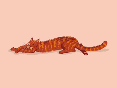 A napping cat animal cat character pet