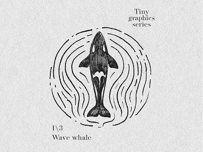 Tiny graphic series \1 animal bw fish fountainpen graphic illustration ink orca sea wave whale