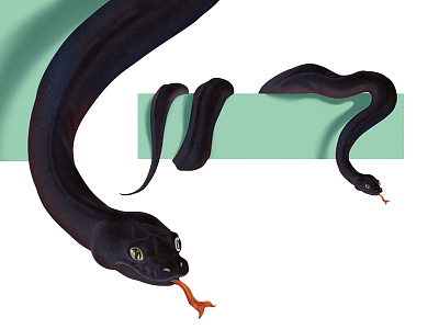 Snake animal illustration realism reptile snake